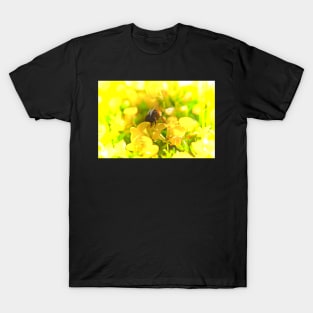 THE NECTAR COLLECTAR T-Shirt